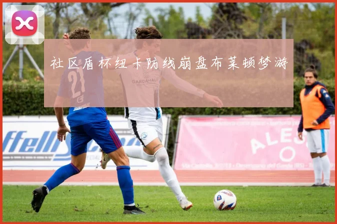 社区盾杯纽卡防线崩盘布莱顿梦游