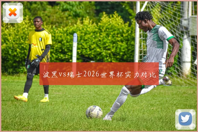 波黑vs瑞士2026世界杯实力对比