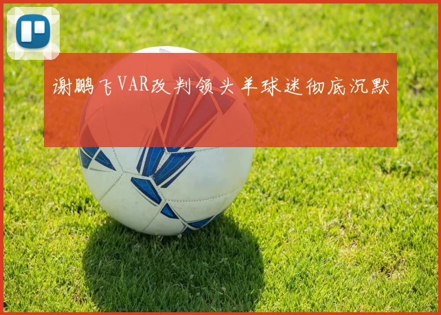 谢鹏飞VAR改判领头羊球迷彻底沉默
