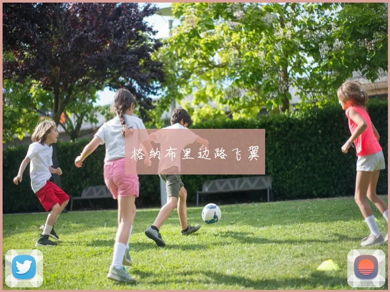 格纳布里边路飞翼