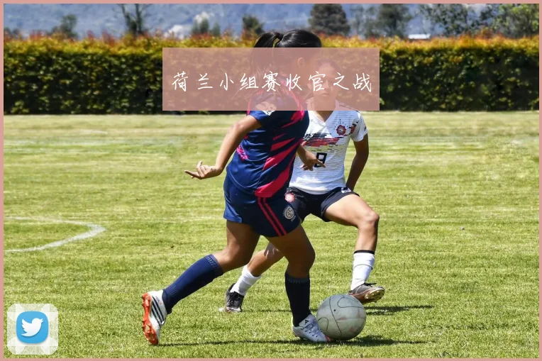 荷兰小组赛收官之战