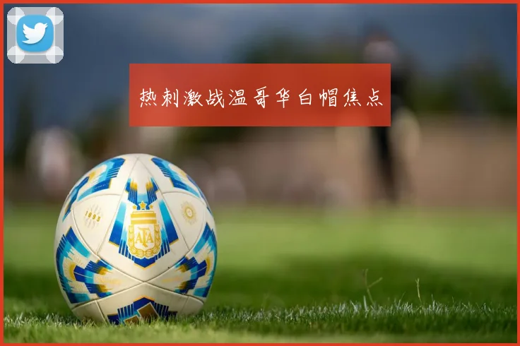 热刺激战温哥华白帽焦点