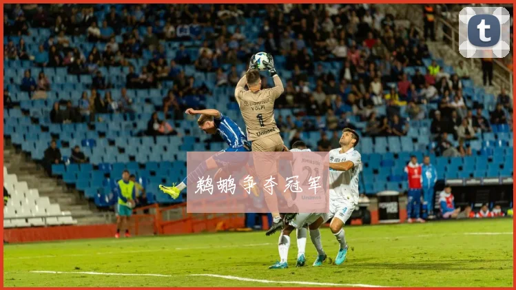 鹈鹕争夺冠军