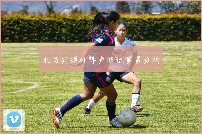 北马其顿对阵卢旺达赛事分析
