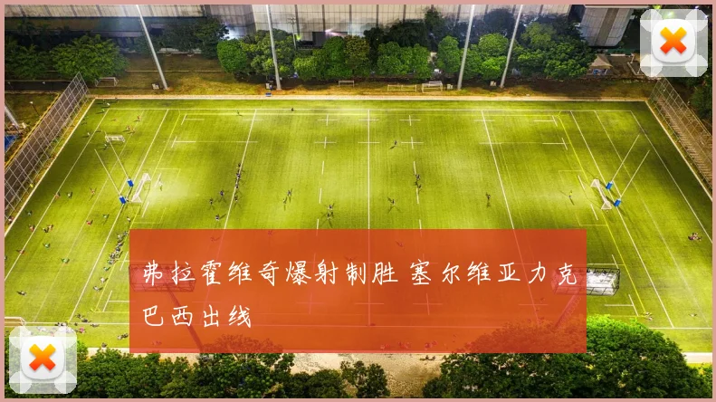 弗拉霍维奇爆射制胜 塞尔维亚力克巴西出线