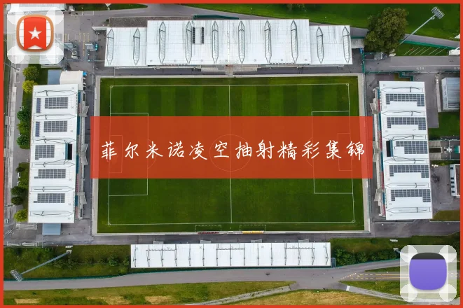 菲尔米诺凌空抽射精彩集锦