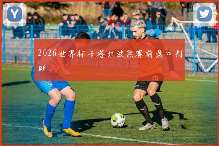 2026世界杯卡塔尔波黑赛前盘口判断
