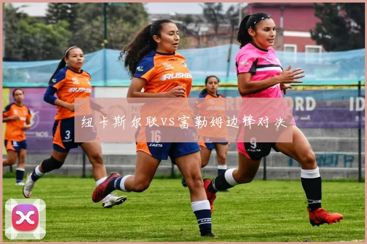 纽卡斯尔联vs富勒姆边锋对决