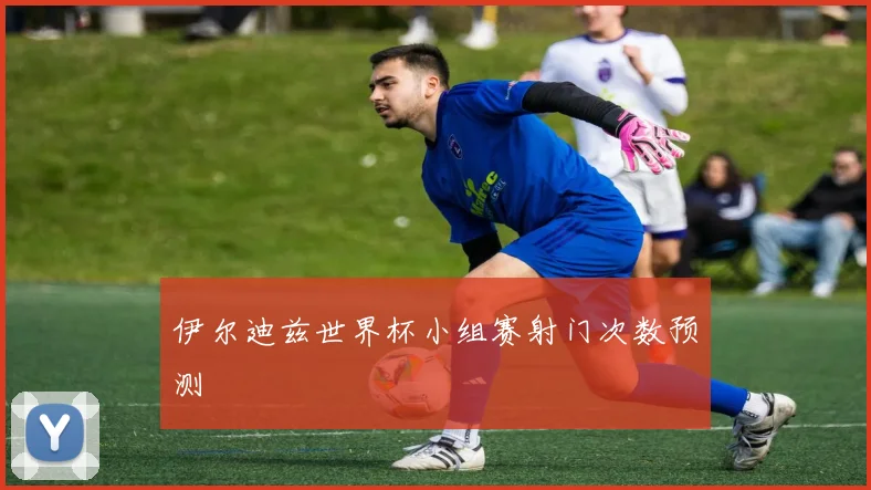 伊尔迪兹世界杯小组赛射门次数预测