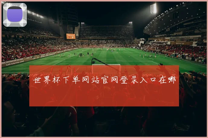 世界杯下单网站官网登录入口在哪